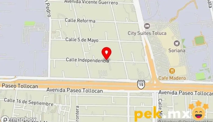 mapa de SOFTELECTRICS INGENIERIA Asociación u organización en San Mateo Atenco