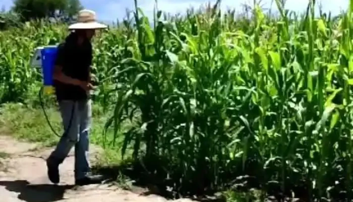 Solarwater Mx -  Videos - Oaxaca de Juárez
