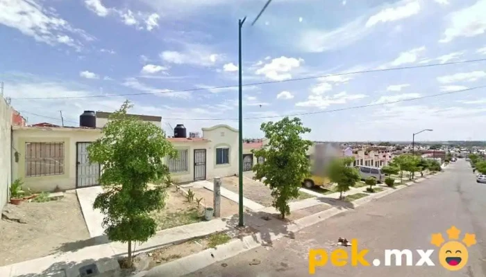Soltem Solar - Culiacán Rosales
