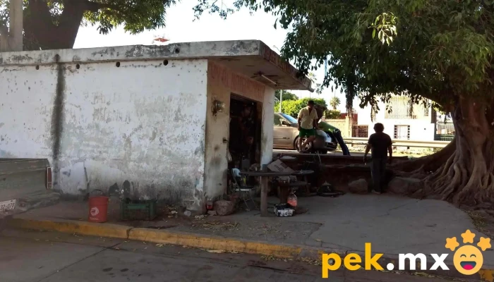 Taller Electrico Automotriz Hernandez -  Videos - Navolato