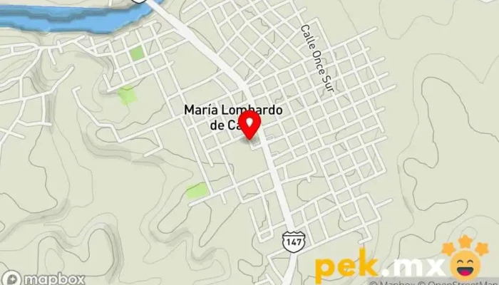 mapa de Taller Eléctrico automotriz Leo Gasolinera en María Lombardo de Caso