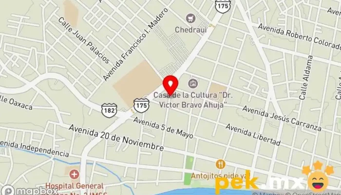 mapa de Taller Electrico Automotriz 'ROJAS' Taller de reparación de automóviles en San Juan Bautista Tuxtepec