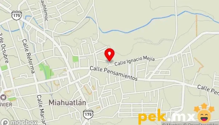 mapa de Taller Electrico Automotriz Uriel Taller de reparación de automóviles en Miahuatlán de Porfirio Díaz