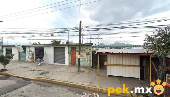 Taller Eléctrico El Cocodrilo - Cocotitlán