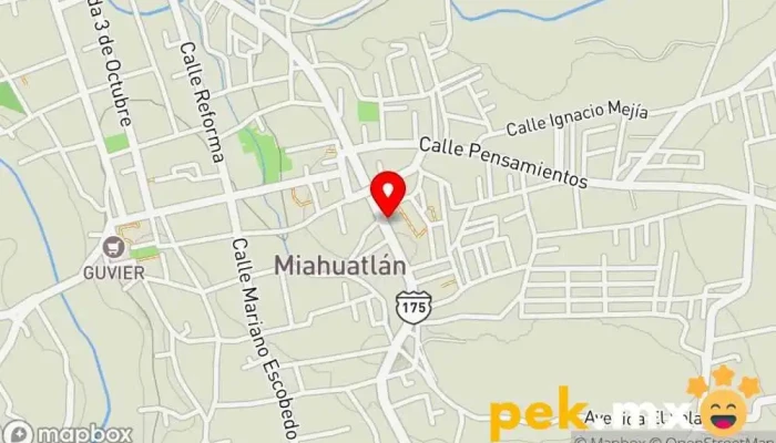 mapa de Taller electrico el Coyote. Taller de automóviles en Miahuatlán de Porfirio Díaz