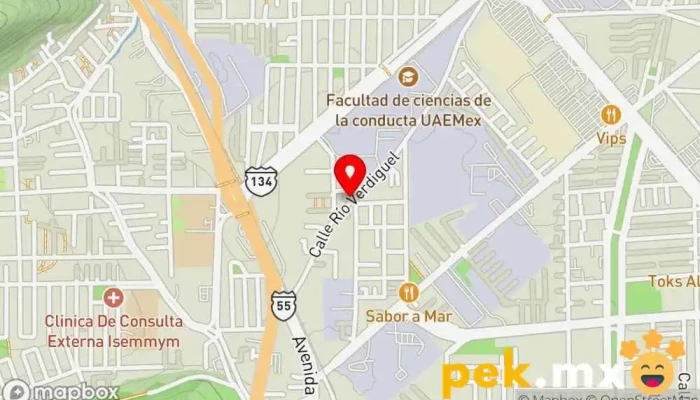 mapa de Taller Electrico Juarez Servicio de reparación de sistemas eléctricos para automóviles en Toluca de Lerdo