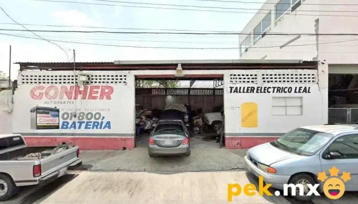 Taller Electrico Leal - Nuevo Repueblo