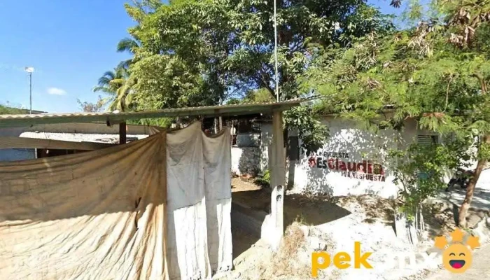 Taller Electrico - San Pedro Mixtepec