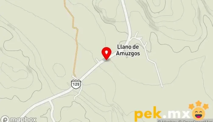 mapa de TALLER MECANICO Y ELETRICO ROJAS Taller de reparación de automóviles en San Pedro Amuzgos