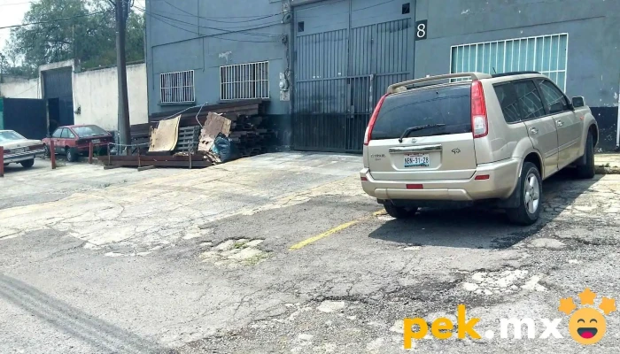 Técnicos Eléctricos en Alto Voltaje, S.a. de C.v. - Naucalpan De Juárez