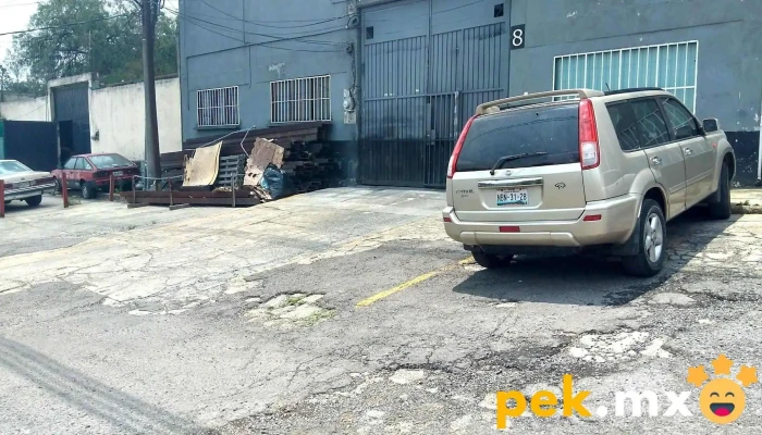 Tecnicos Electricos En Alto Voltaje Sa De Cv Precios - Naucalpan de Juárez
