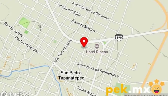 mapa de Técnicos Loro's Servicio de reparación de electrodomésticos en San Pedro Tapanatepec