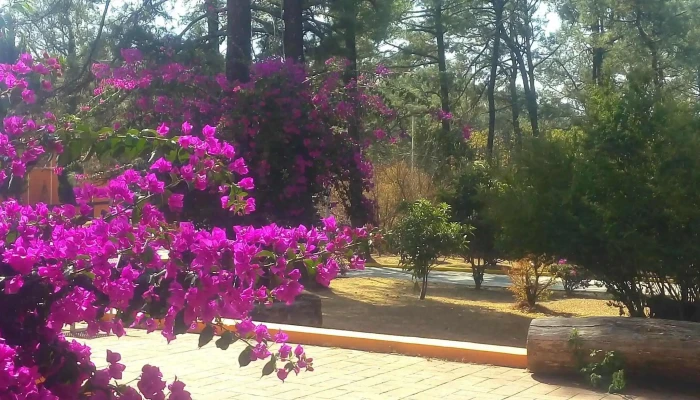 Tecnologico De Estudios Superiores De Valle De Bravo Sitio Web - Valle de Bravo