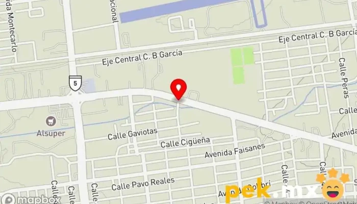 mapa de Teemza Electricista en Cuauhtémoc