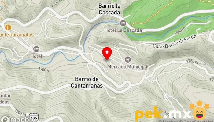 TeknoPower - Temascaltepec De González