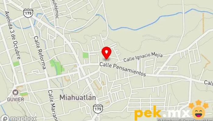 mapa de Tesa Solar  en Miahuatlán de Porfirio Díaz