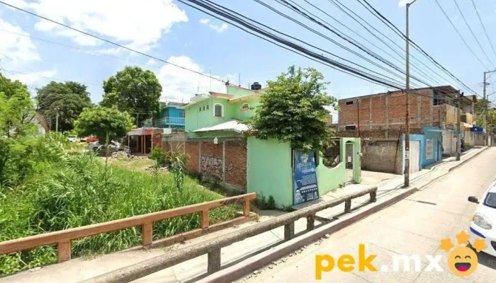 Tese - Paneles solares - Esquina 8Va Ote Colonia