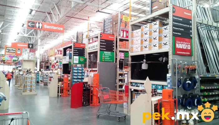 The Home Depot Santa Catarina - La Fama