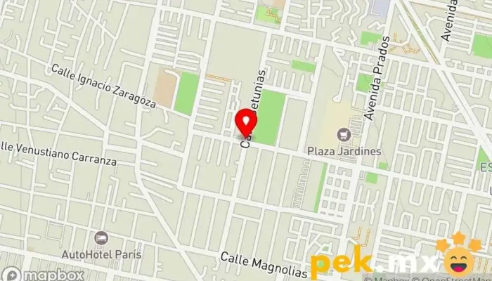 mapa de TPM Electro Proyectos & ECA Electricista, Compañía eléctrica en San Pablo de las Salinas