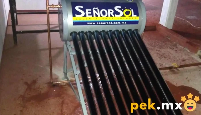 Trabajos De Plomeria Y Electricidad - "el Plomex" - Mayanalán