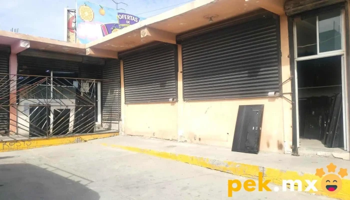 Tvs Galeana -  Sitio Web - Juárez
