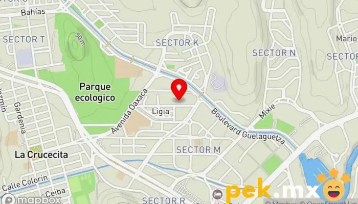 mapa de UVIE GUZMAN HUATULCO (Unidad de Verificación de Instalaciones Eléctricas) Servicio de instalación eléctrica, Electricista en Crucecita