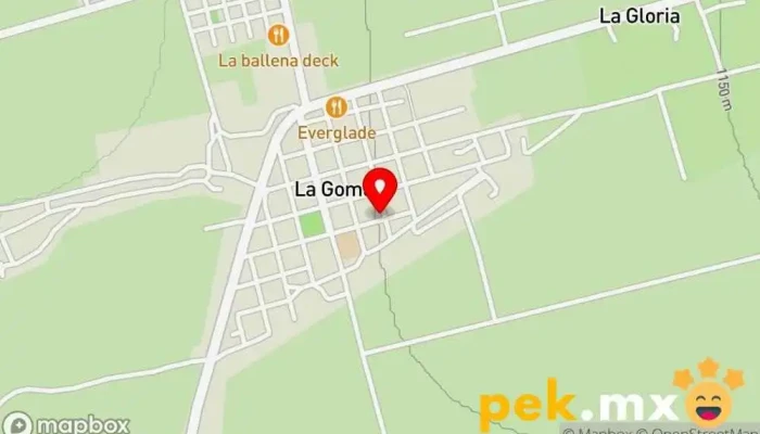 Venta y compra de reciclaje - 35175 Lerdo