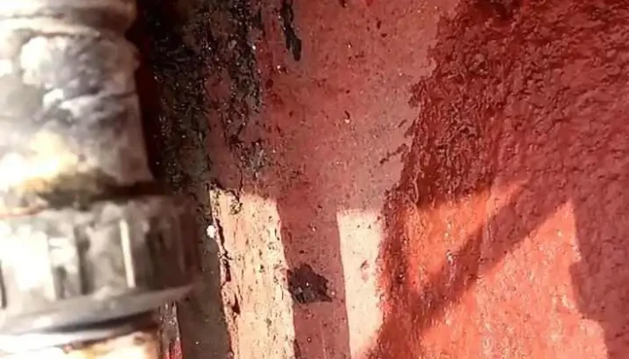 Vortex Mexico -  Del Propietario - Heroica Puebla de Zaragoza